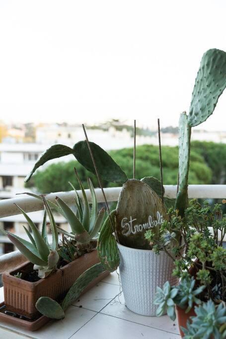 רומא Casa 'Ttaja - Mediterranean Eco-Apartment מראה חיצוני תמונה